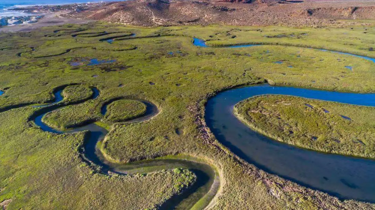 Humedales La Chorera