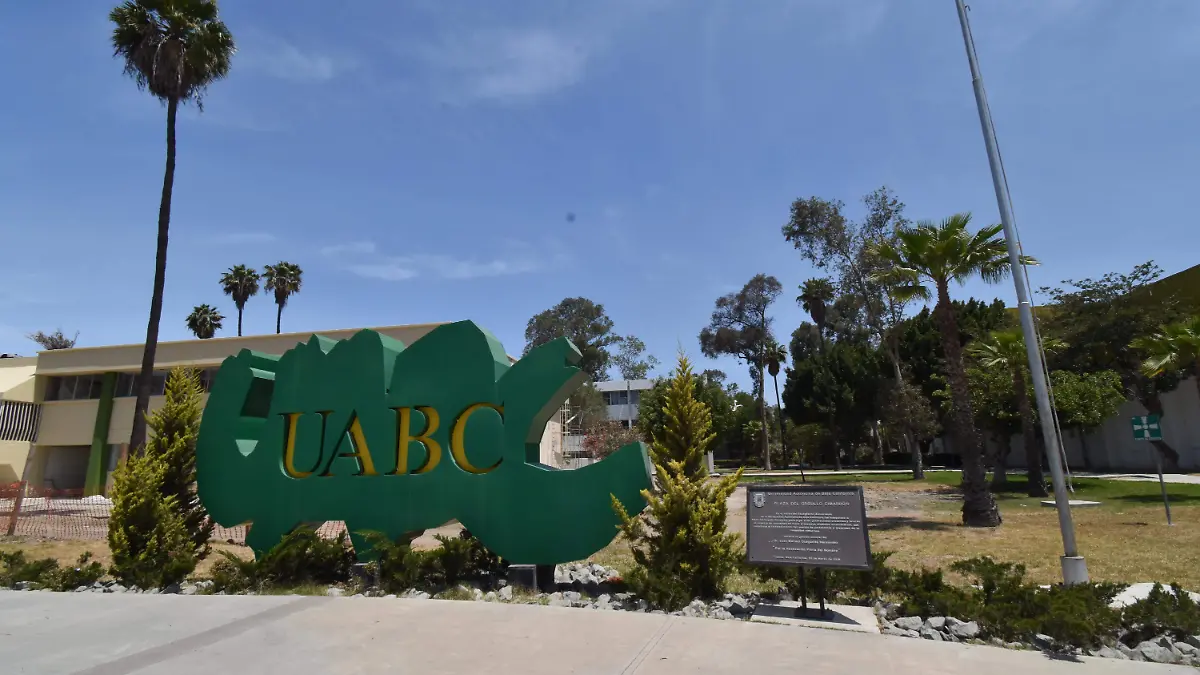50 AG UABC