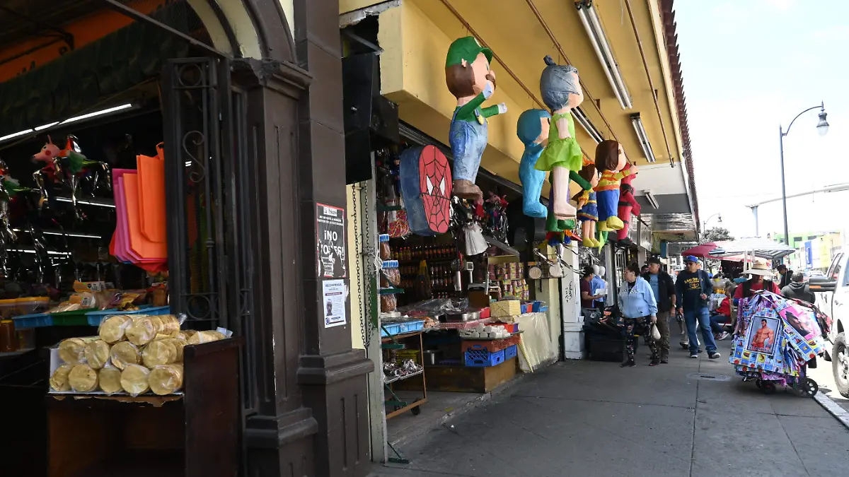 negocios-comercios en zona centro (2)