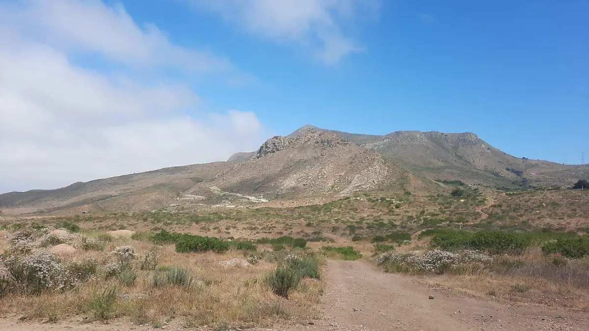 52 AG CERRO