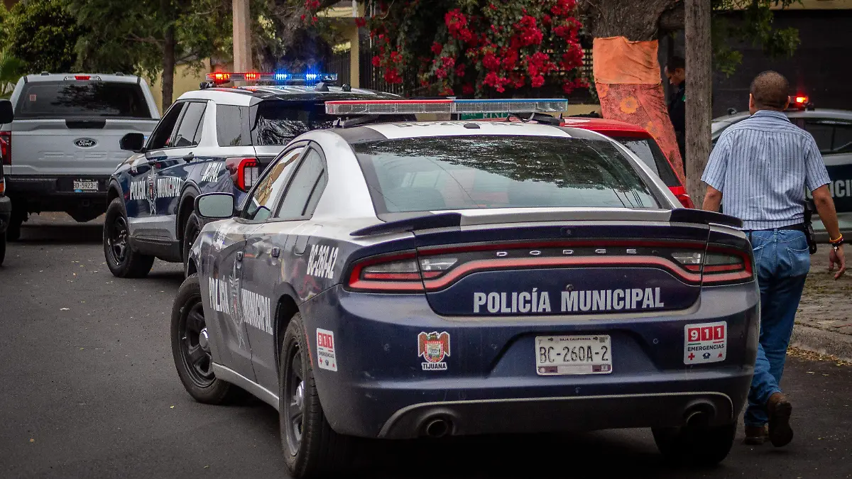 WhatsApp Image 2025-07-10 at 18.32.10 (1)