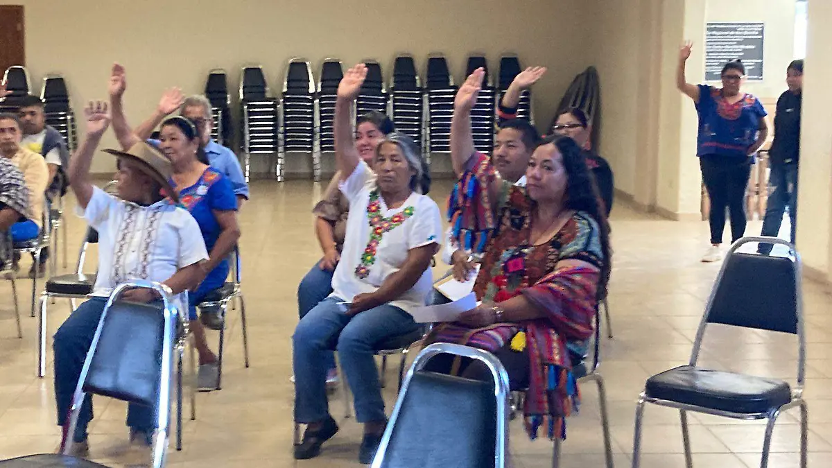 91 INDIGENAS  CORTESIA ASAMBLEA ESTATAL PUEBLOS INDIGENAS