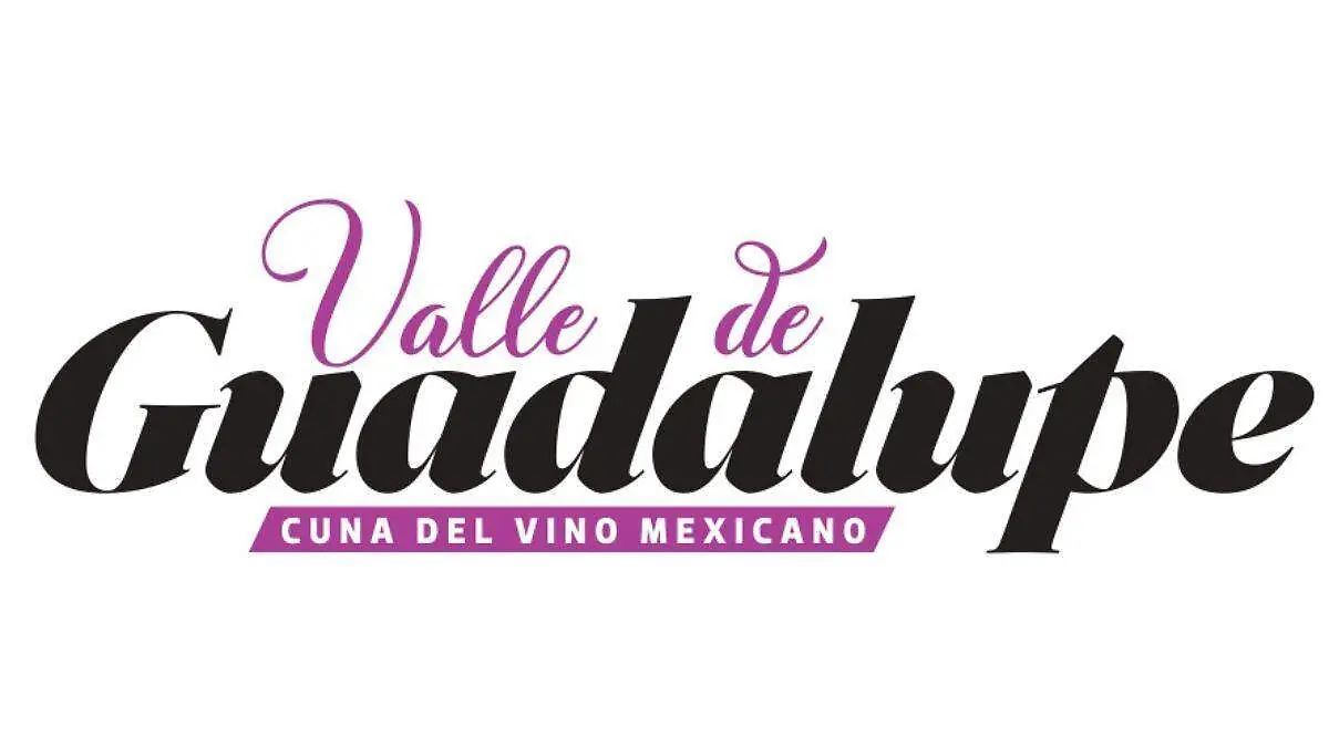 Valle de Guadalupe 2025