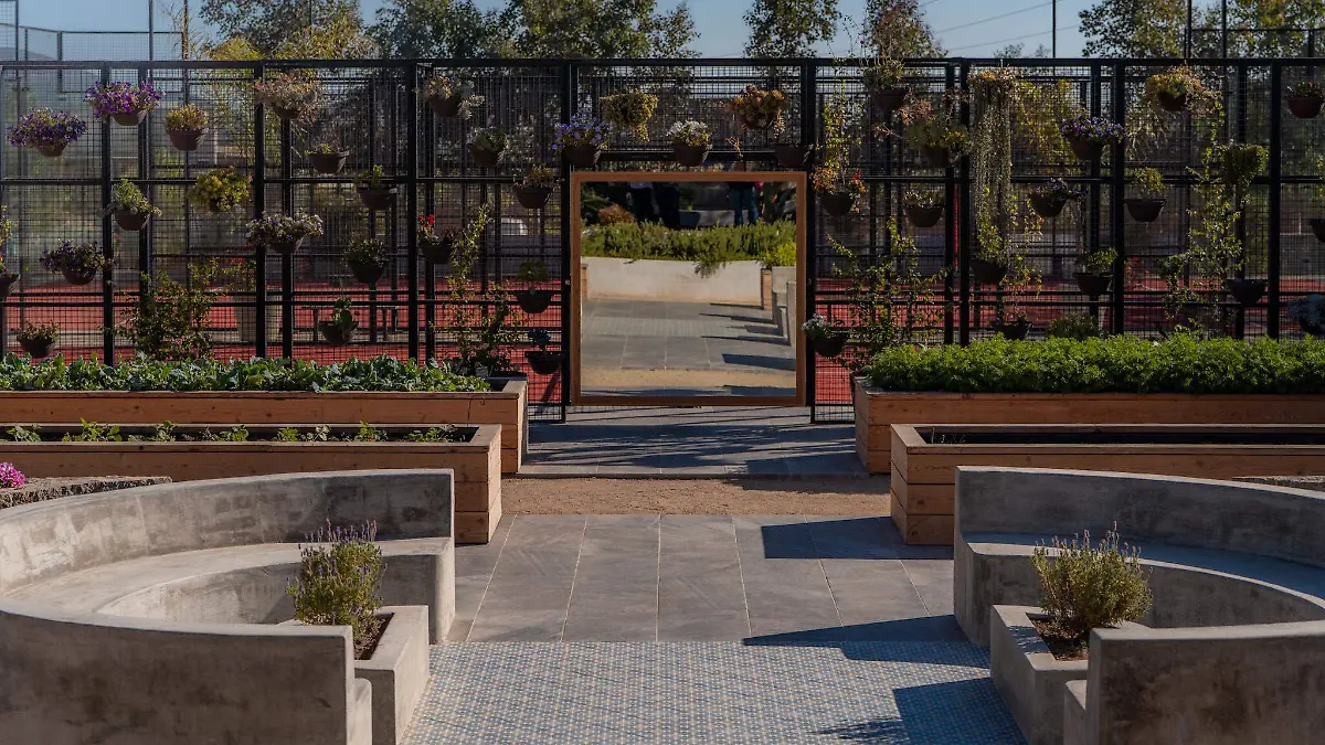 Olivea Farm to Table