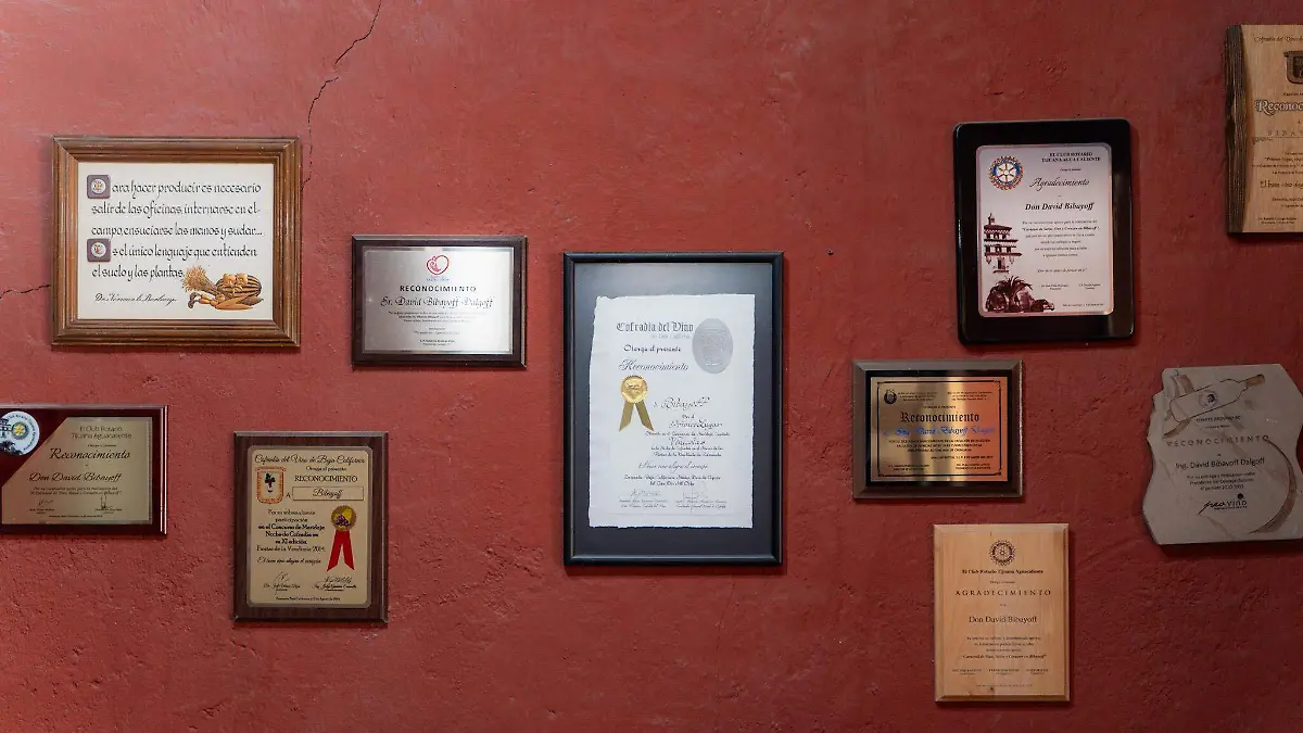 valle-de-guadalupe-rusos