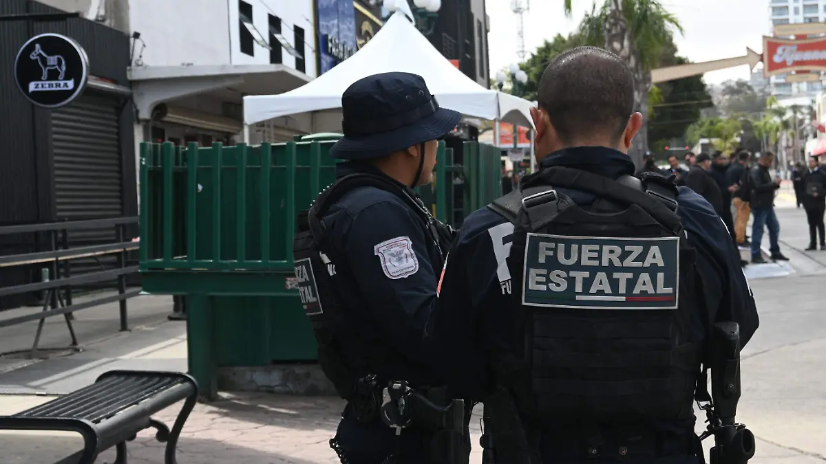 70-cl-fuerza estatal de seguridad ciudadana- (3) (1)