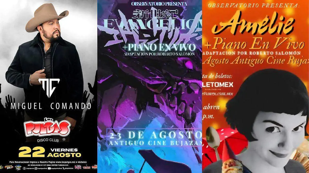 Diseño sin título (75)