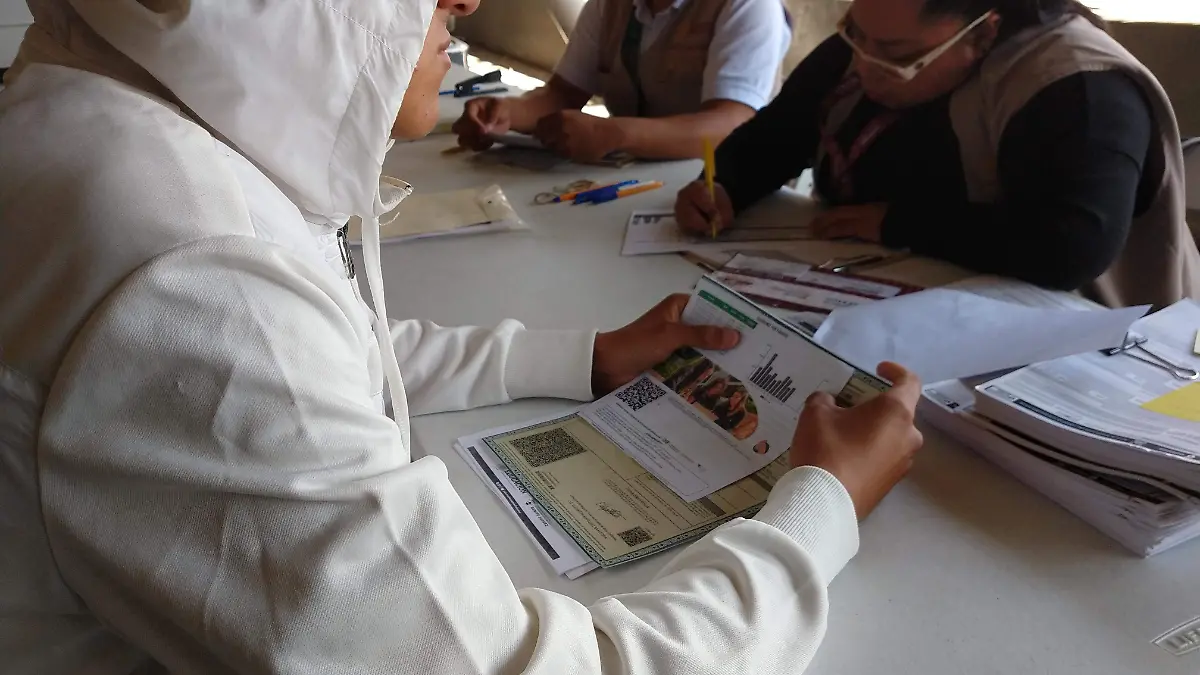 11 AG Becas