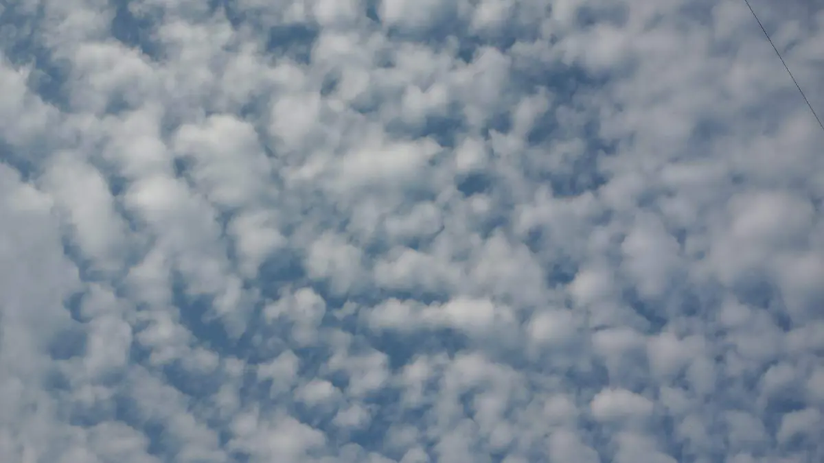 WhatsApp Image 2025-08-26 at 9.04.45 AM (2)