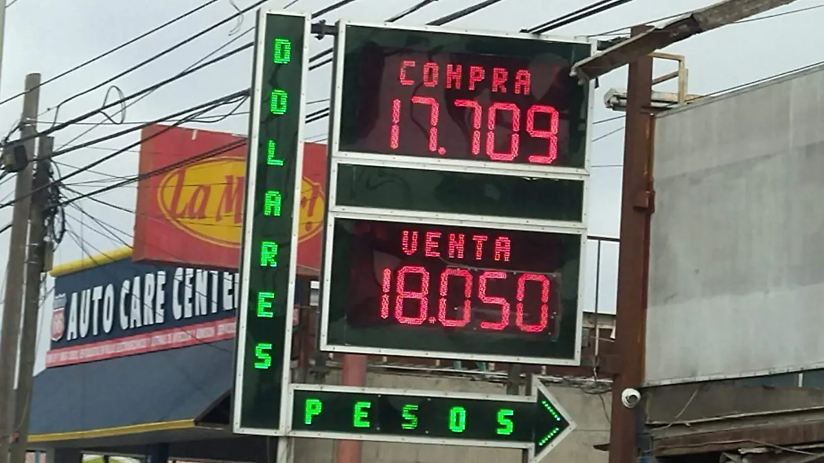 WhatsApp Image 2025-10-08 at 8.58.55 AM