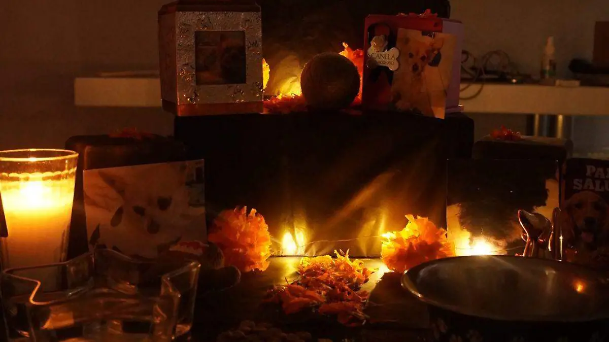 Altar-Mascotas