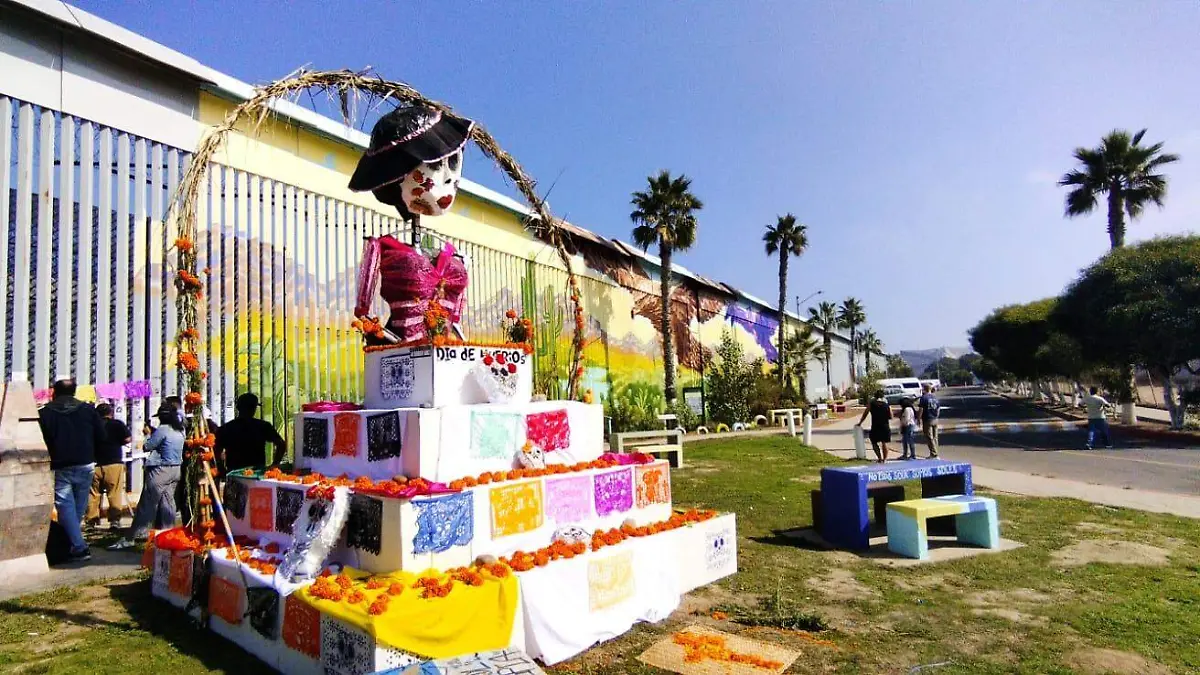 WhatsApp Image 2025-11-01 at 11.53.53