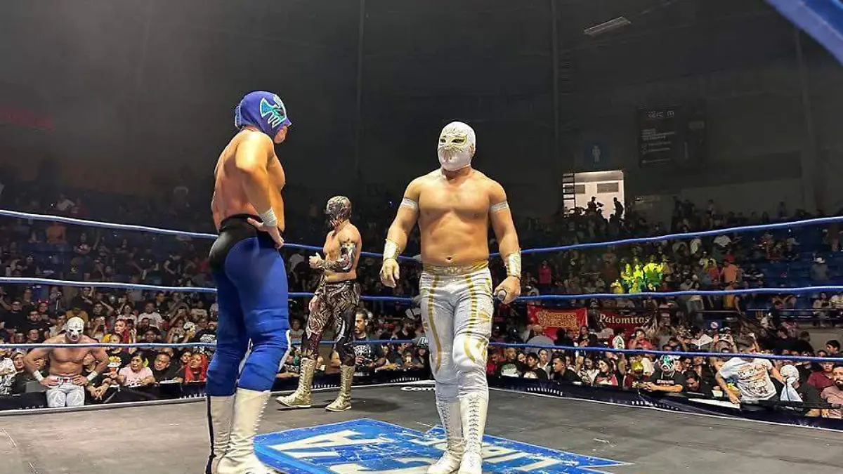 WhatsApp Image 2025-11-13 at 14.09.31