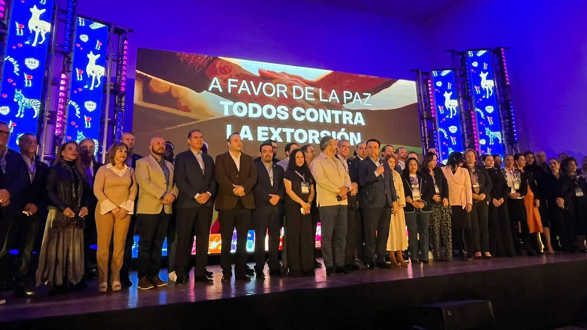 WhatsApp Image 2025-11-14 at 12.50.03