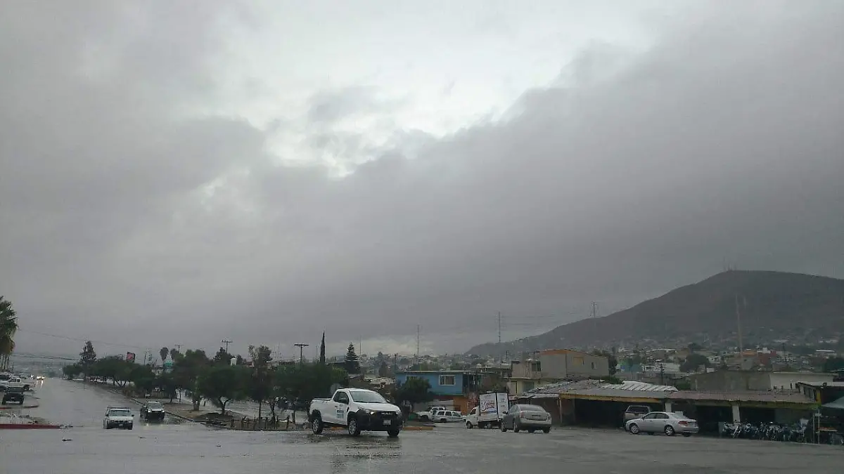 WhatsApp Image 2025-11-15 at 10.33.45