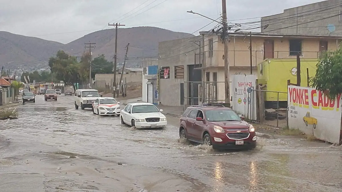 WhatsApp Image 2025-11-15 at 10.34.47