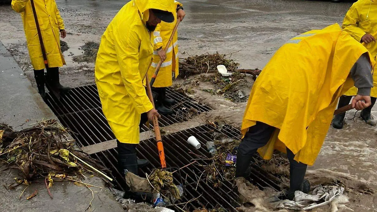 WhatsApp Image 2025-11-15 at 15.10.29