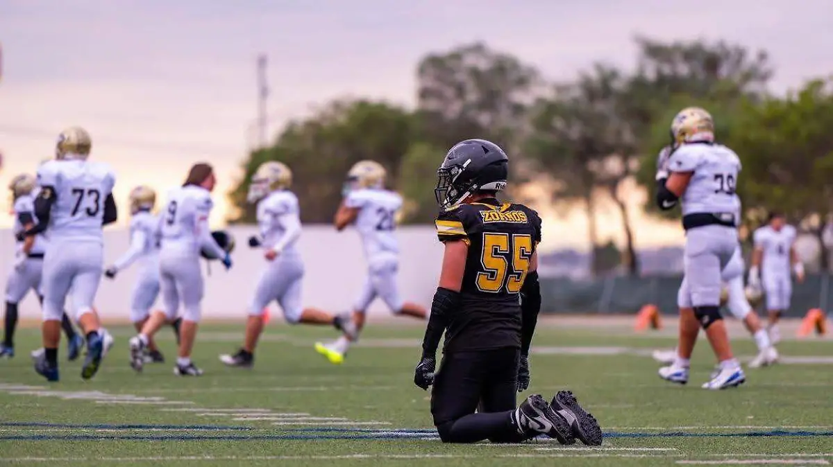 WhatsApp Image 2025-11-23 at 14.17.40