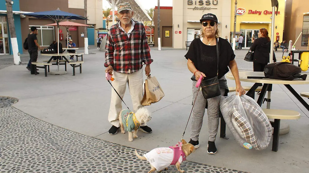 291161 AG MASCOTA (1)