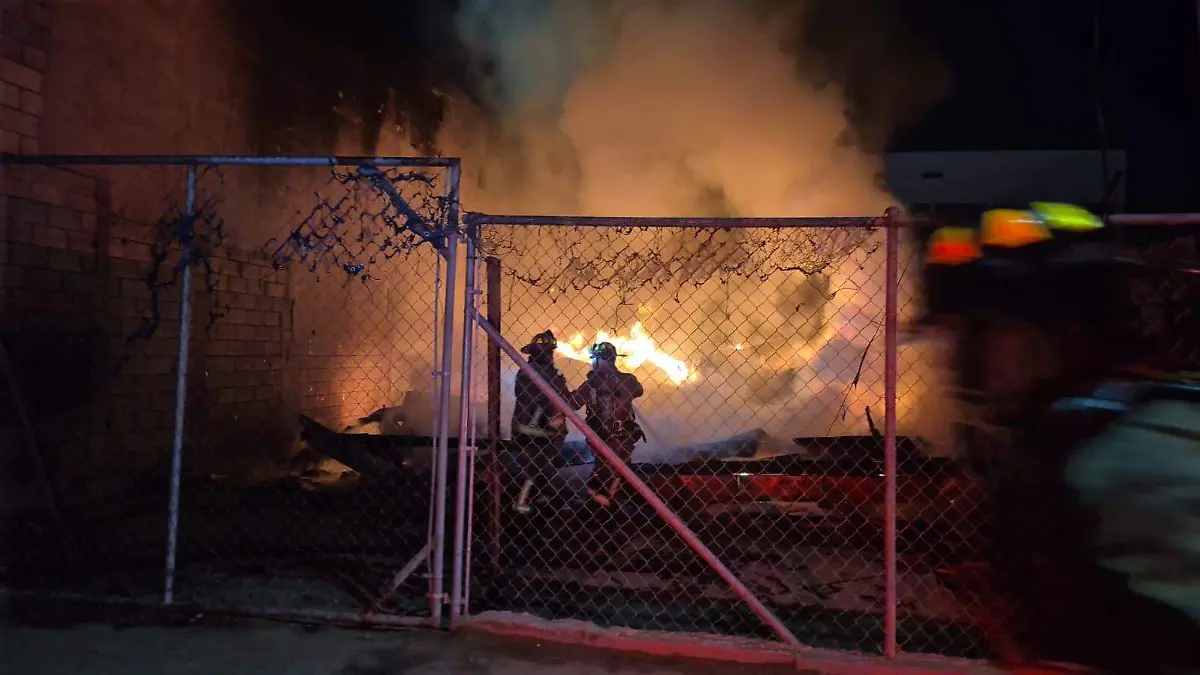 WhatsApp Image 2025-12-07 at 13.26.48