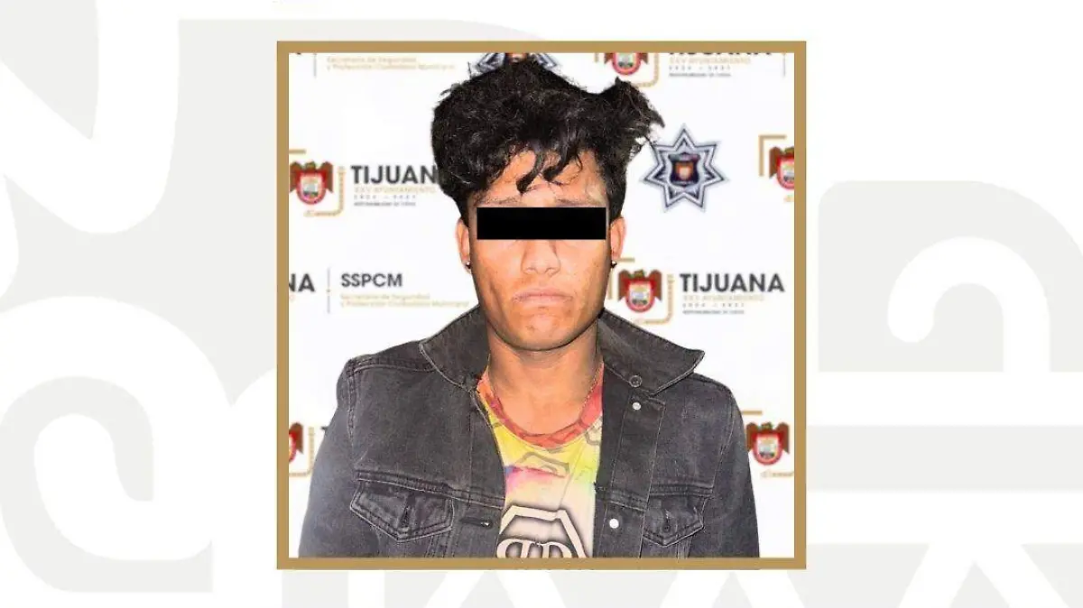 WhatsApp Image 2025-12-11 at 18.32.57