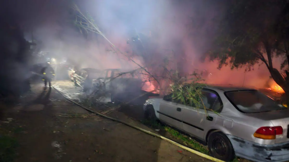 WhatsApp Image 2025-12-13 at 10.39.31 AM (1)