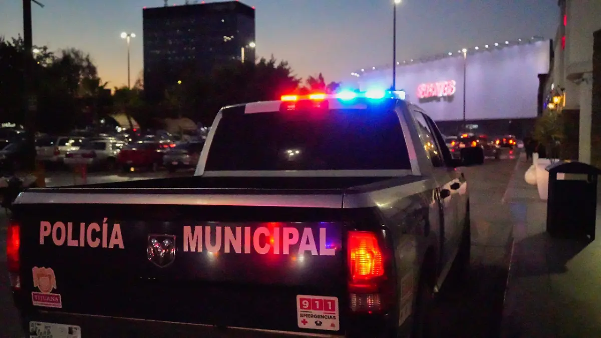 WhatsApp Image 2025-12-14 at 15.04.20