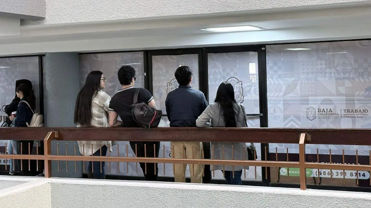 WhatsApp Image 2025-12-22 at 10.50.10