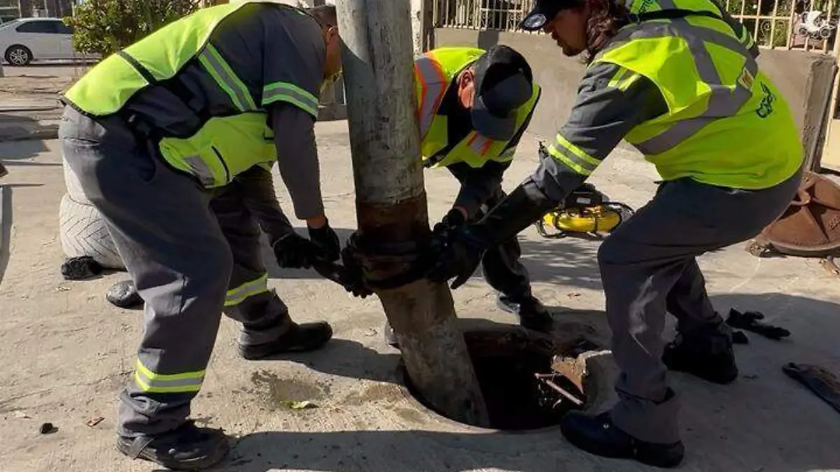 WhatsApp Image 2025-12-23 at 15.37.05