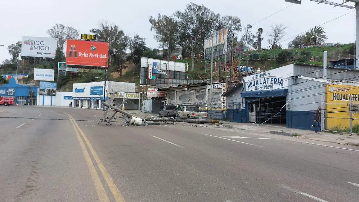 WhatsApp Image 2025-12-24 at 1.59.38 PM