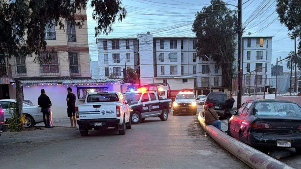 WhatsApp Image 2025-12-30 at 16.50.43