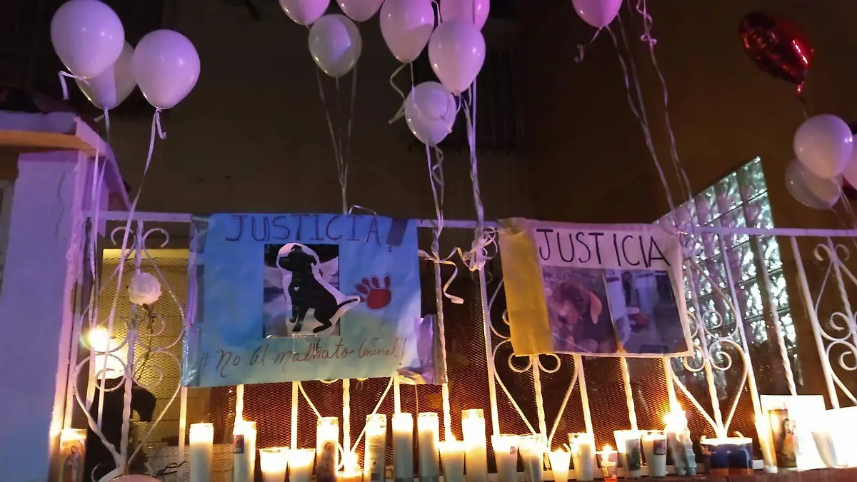 WhatsApp Image 2026-01-05 at 19.39.37