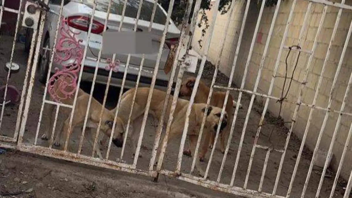 WhatsApp Image 2026-01-07 at 09.49.52