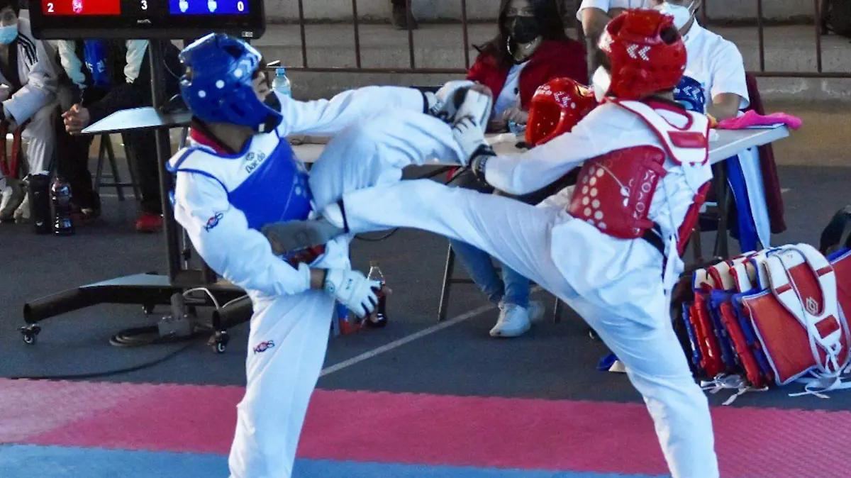 WhatsApp Image 2026-01-07 at 17.51.57