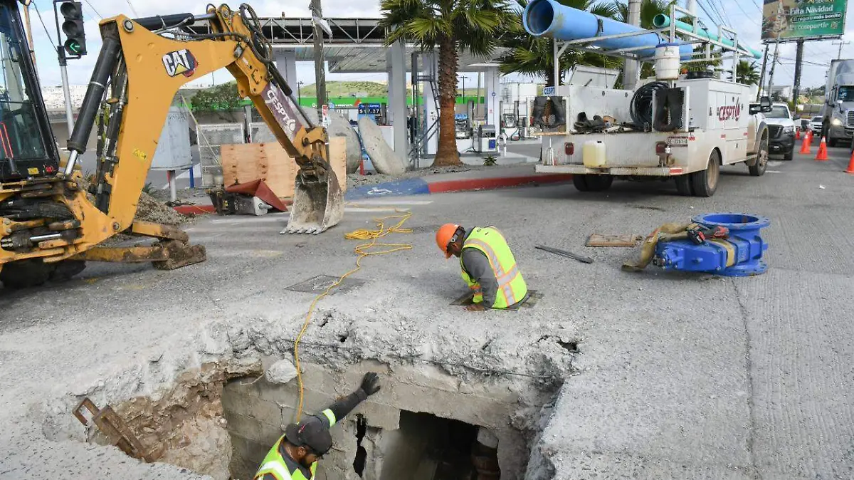 WhatsApp Image 2026-01-08 at 16.47.20