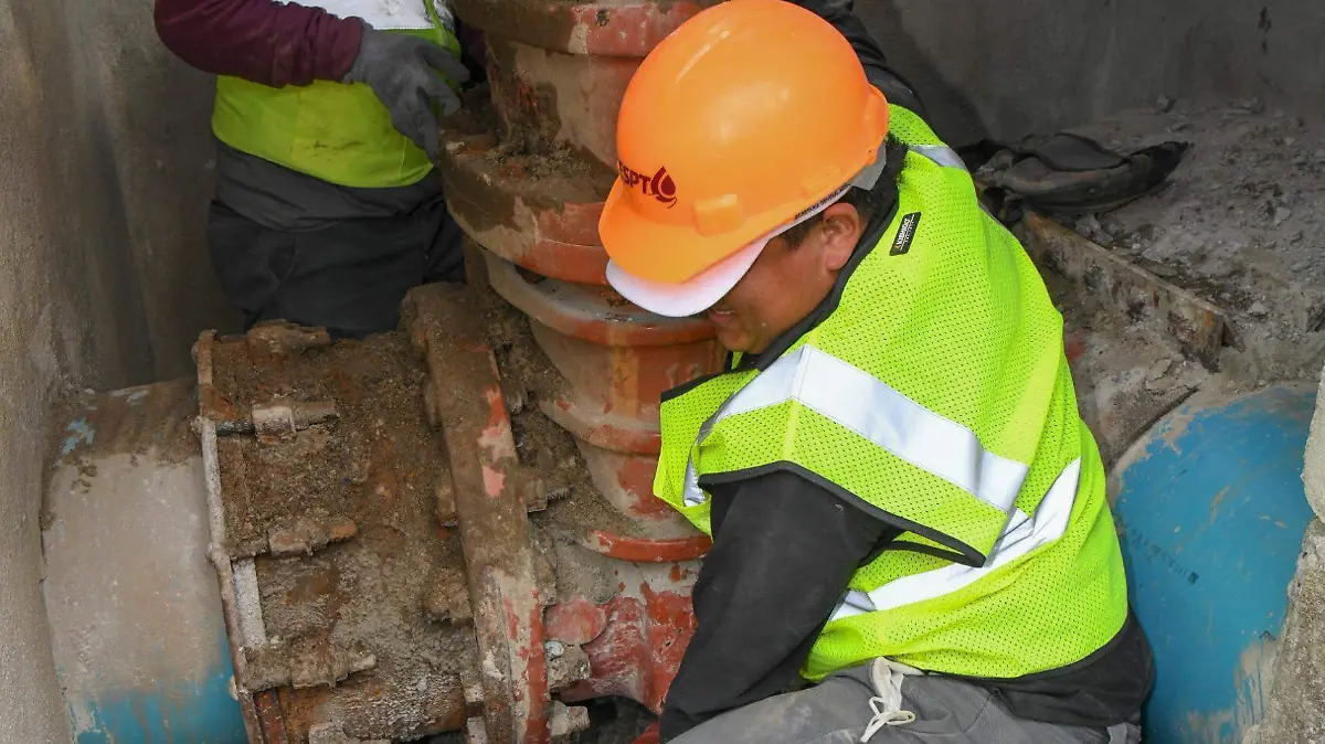 WhatsApp Image 2026-01-08 at 16.47.20 (1)