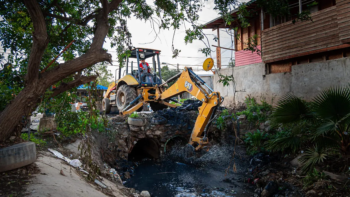 WhatsApp Image 2026-01-08 at 3.52.31 PM