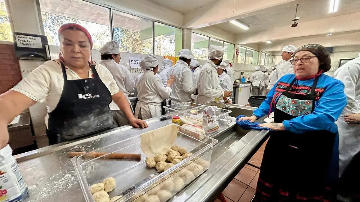 WhatsApp Image 2026-01-08 at 19.17.36