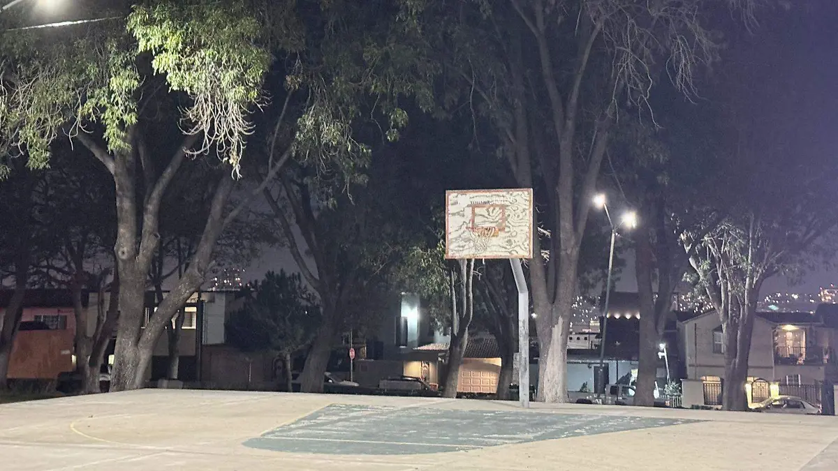 WhatsApp Image 2026-01-09 at 6.27.11 PM (1)