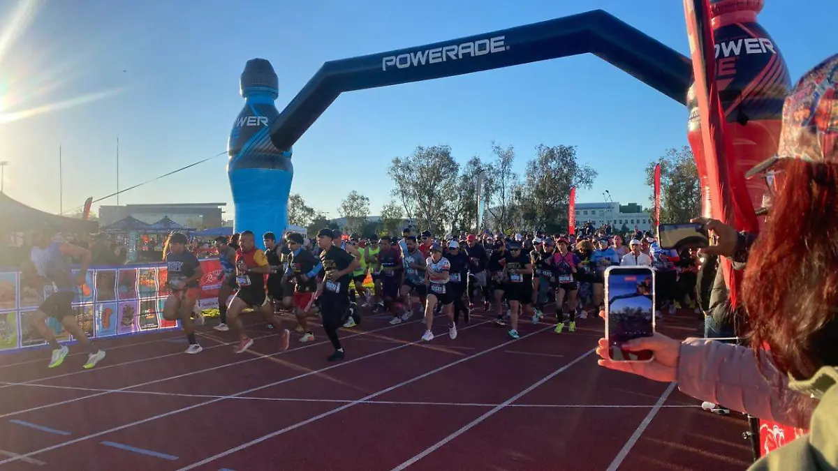 WhatsApp Image 2026-01-11 at 2.13.31 PM