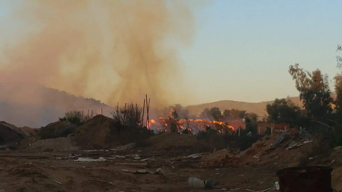 WhatsApp Image 2026-01-13 at 4.35.59 PM