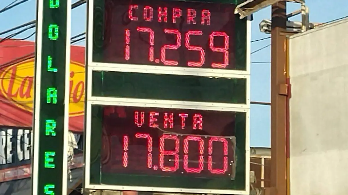 WhatsApp Image 2026-01-17 at 08.11.44