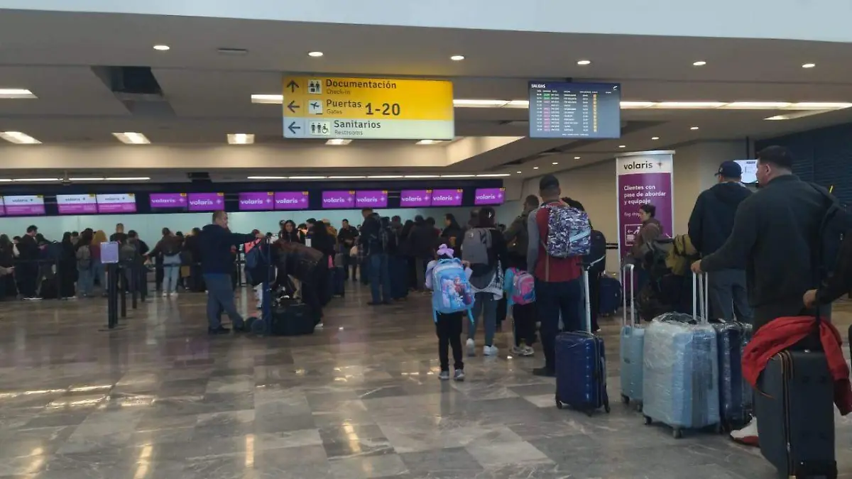 WhatsApp Image 2026-01-17 at 09.13.54