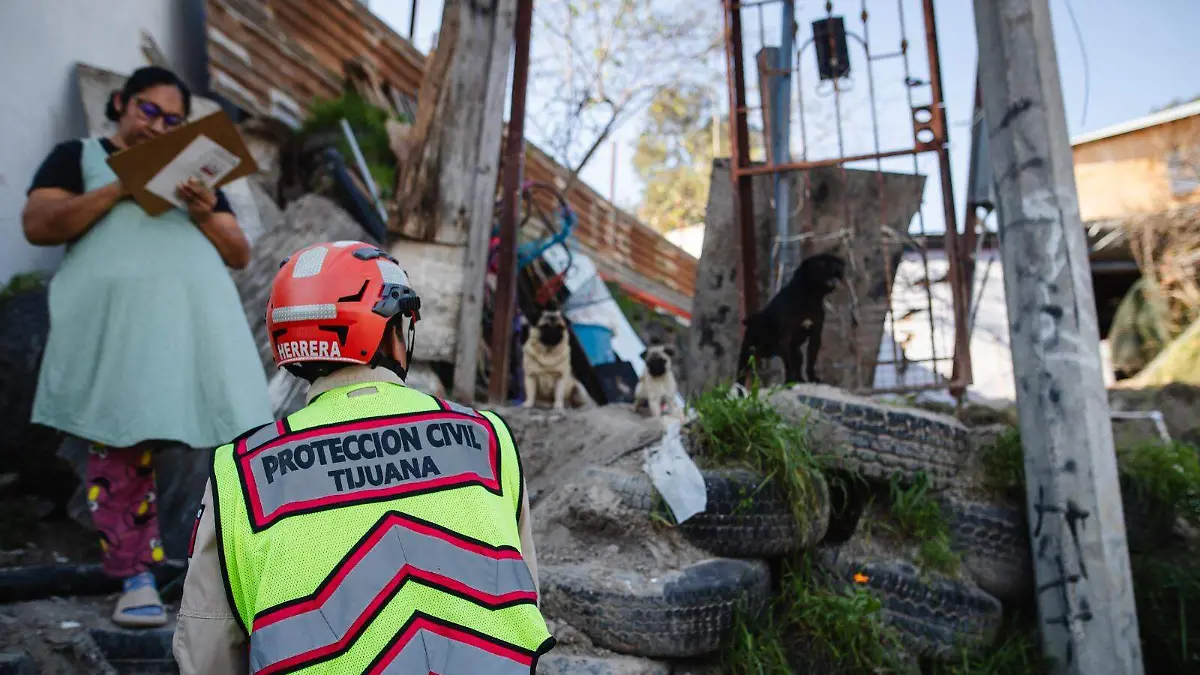 WhatsApp Image 2026-01-20 at 3.11.47 PM