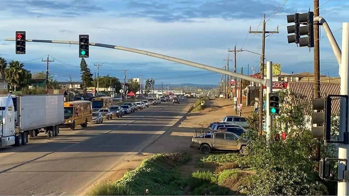 WhatsApp Image 2026-01-20 at 7.26.58 PM