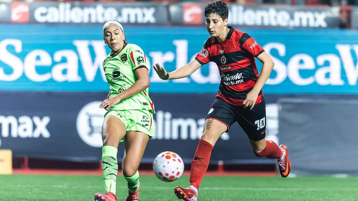 WhatsApp Image 2026-01-20 at 9.18.27 PM