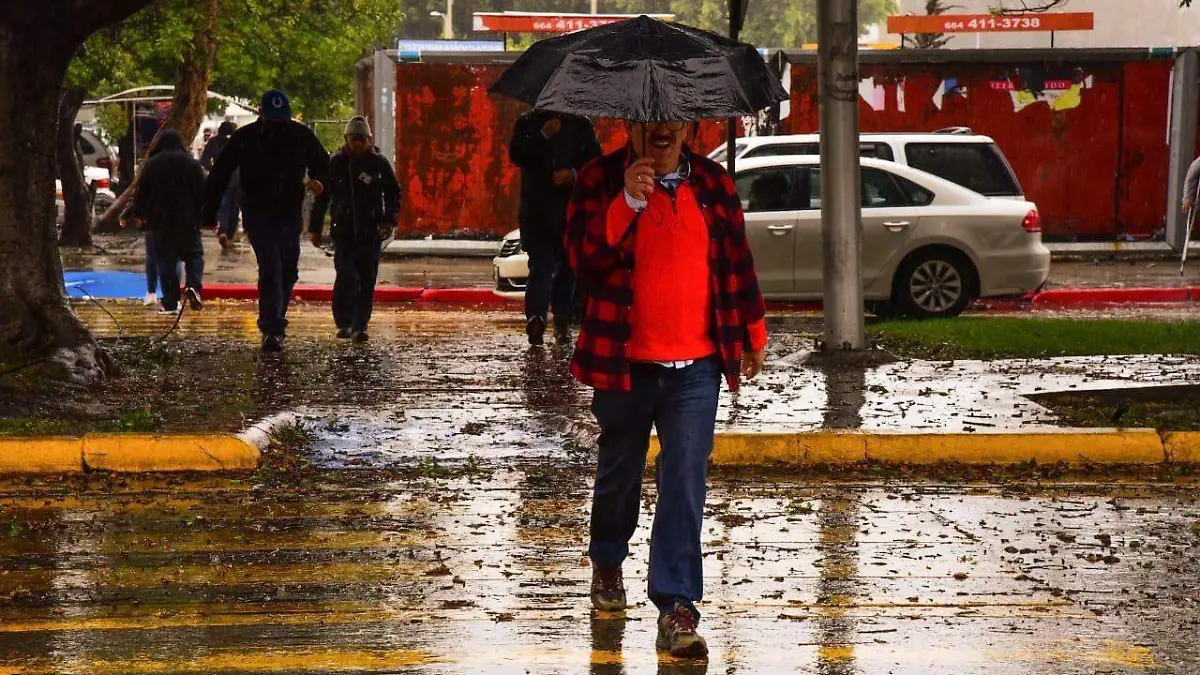 WhatsApp Image 2026-01-22 at 2.20.30 PM