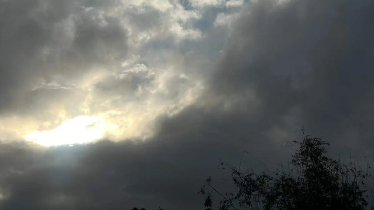 WhatsApp Image 2026-01-24 at 08.08.19