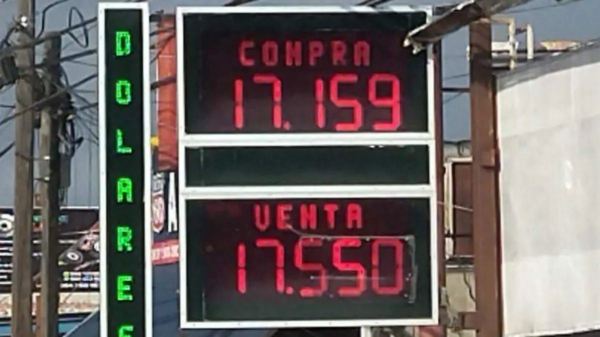 WhatsApp Image 2026-01-24 at 09.02.18