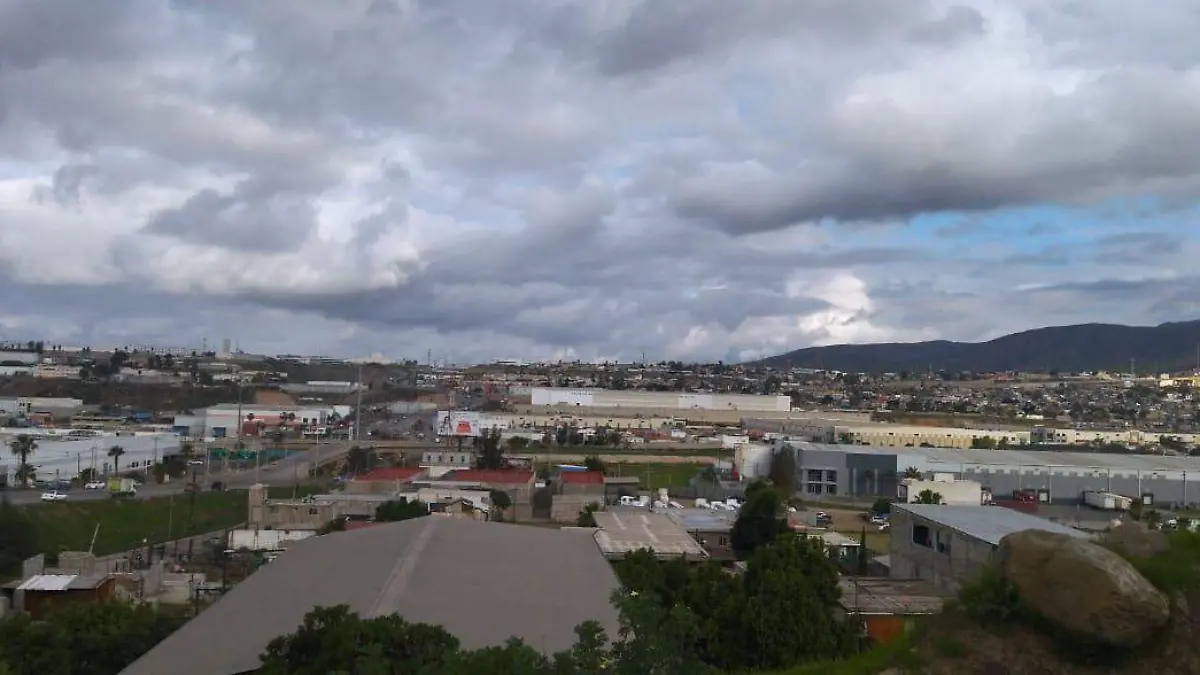 WhatsApp Image 2026-01-24 at 09.10.32